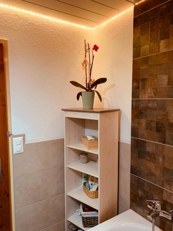 Casa Restelli Og - Nahe Andermatt Gotthard Gurtnellen Eksteriør billede